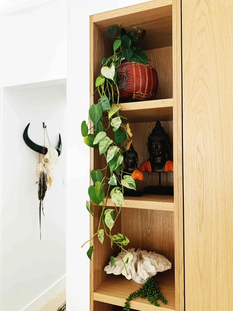 styled bookshelf with plants and natural objects in Manly Vale home renovation